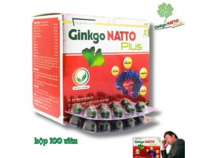 Ginkgo NATTO Plus